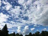 IMG 0107