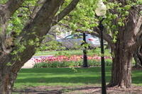 IMG 0572