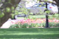 IMG 0575