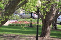 IMG 0579