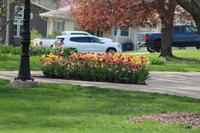 IMG 0588